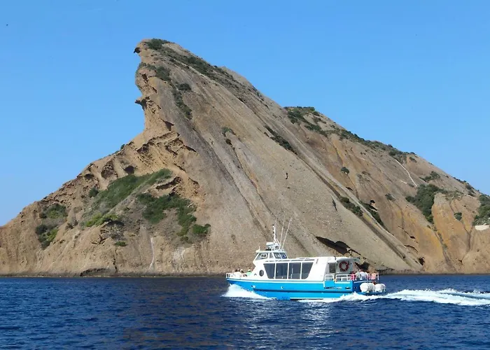 T3 Place Sadi Carnot Appartement *